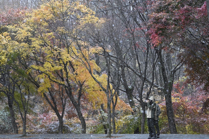 대구경북 흐린 하늘에 눈 또는 비…낮 기온 4~10℃