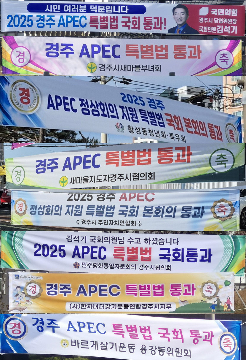 경주 APEC 특별법 국회 통과…지역민 적극 참여 지지 결실