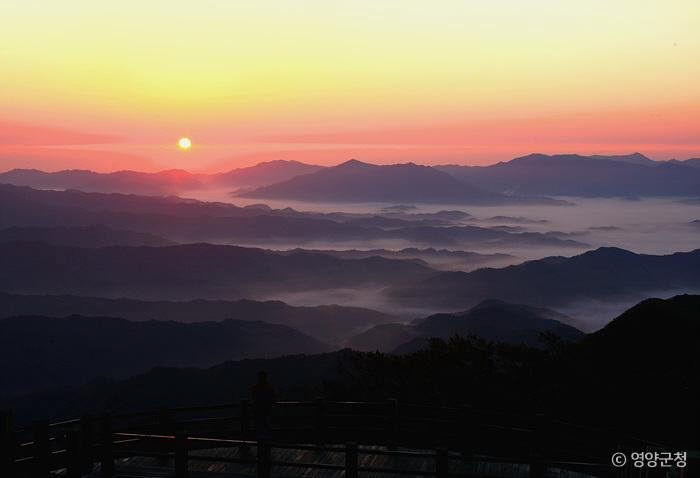 겨울밤이 더 아름다운 경북 숨은 명소 여행 오세요