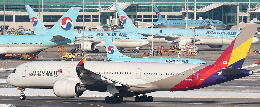 항공기 200여대 대한항공 메가 캐리어 날개 편다