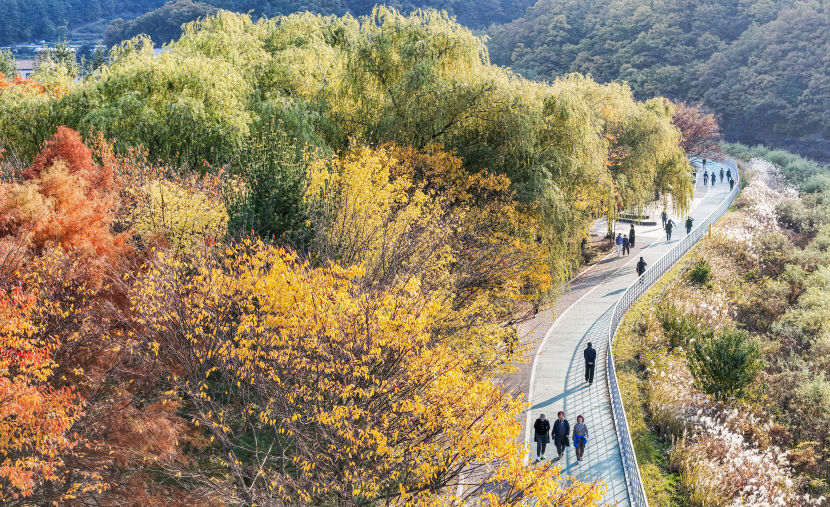 [내일 날씨] 10일 대구·경북, 바람 강하고 대기 많이 건조…불조심