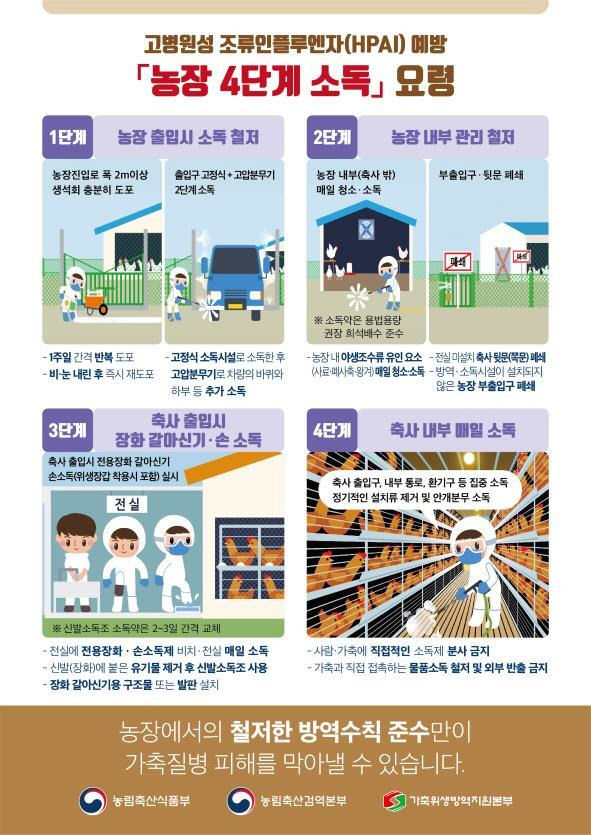 영천 종계장서 조류인플루엔자 발생…방역당국 비상