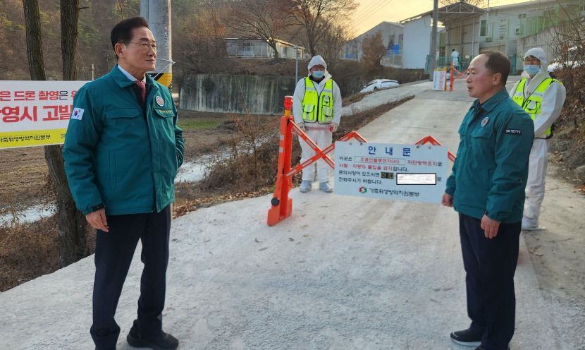 영천 화남면 산란종계장 조류인플루엔자 발생