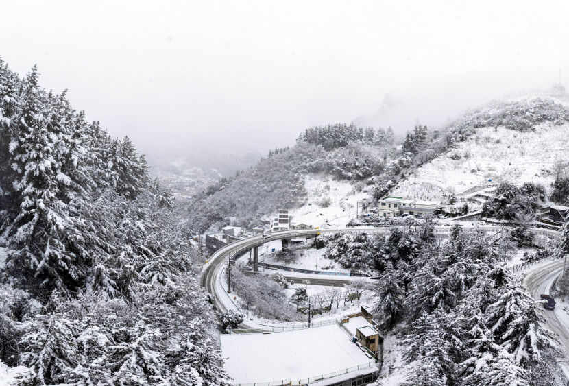 19일 대구경북 꽁꽁…안동 -12.4℃ 등 지역 곳곳 올겨울 가장 추워
