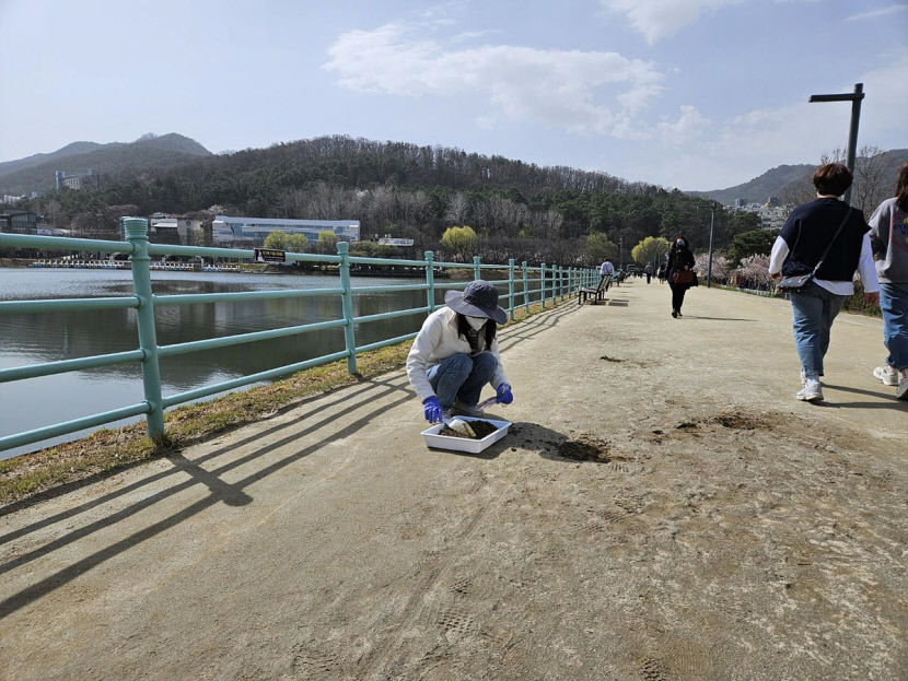 대구시 제공