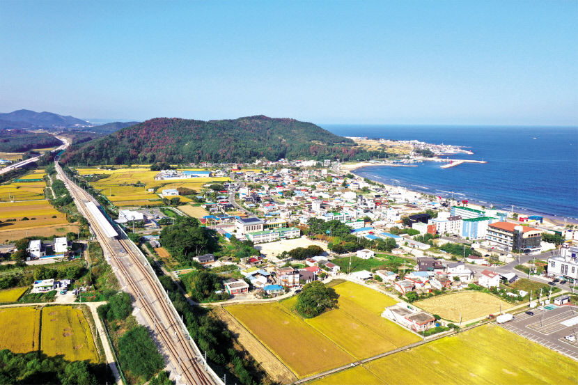 포항~삼척 166.3㎞ 바닷가 철길 따라 한반도 척추를 달린다