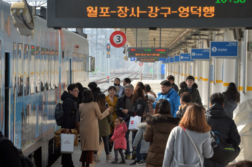 포항~삼척 166.3㎞ 바닷가 철길 따라 한반도 척추를 달린다