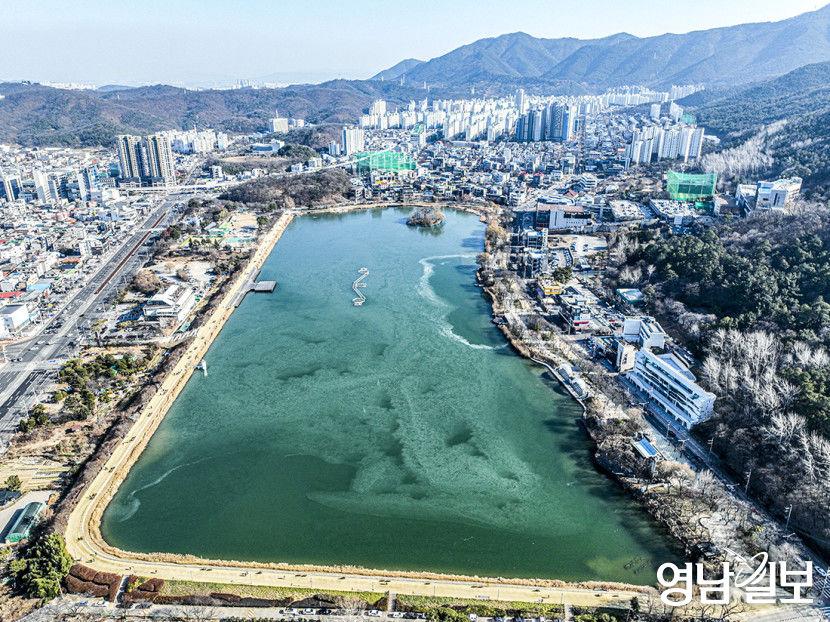 2025년 대구서 내집 마련 적기는? 부동산 전문가들에게 물어봤다