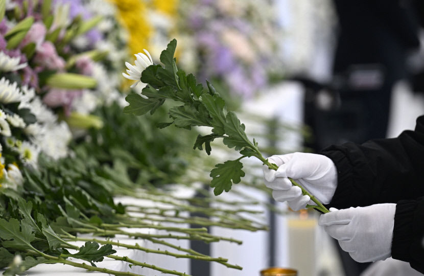31일 오후 대구 달서구 안병근올림픽유도기념관에 마련된 제주항공 여객기 사고 희생자 합동분향소에서 시민들이 헌화를 하고 있다. 이윤호기자 yoonhohi@yeongnam.com