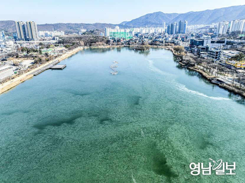 한겨울의 추위에 얼어붙은 수성못