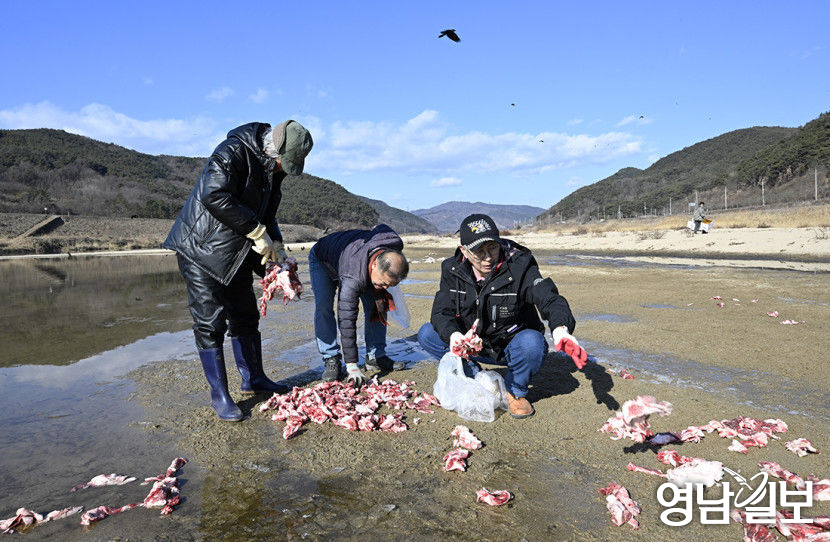 독수리를 위한 만찬