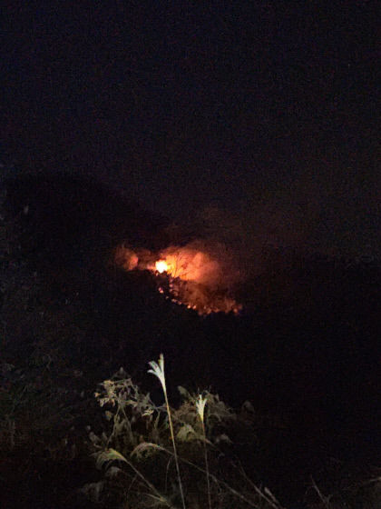 의성군 같은 산에서  6시간 간격으로 잇따라 산불...방화 의심