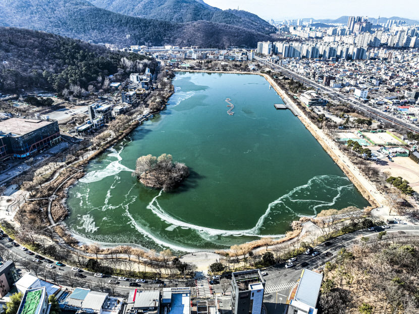 한파가 쉬는 사이, 꽁꽁 언 수성못 거니는 대구 시민들