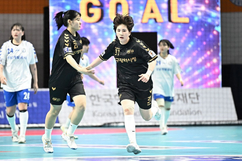 열정을 던진다 대구시청 핸드볼 15·18일 홈경기