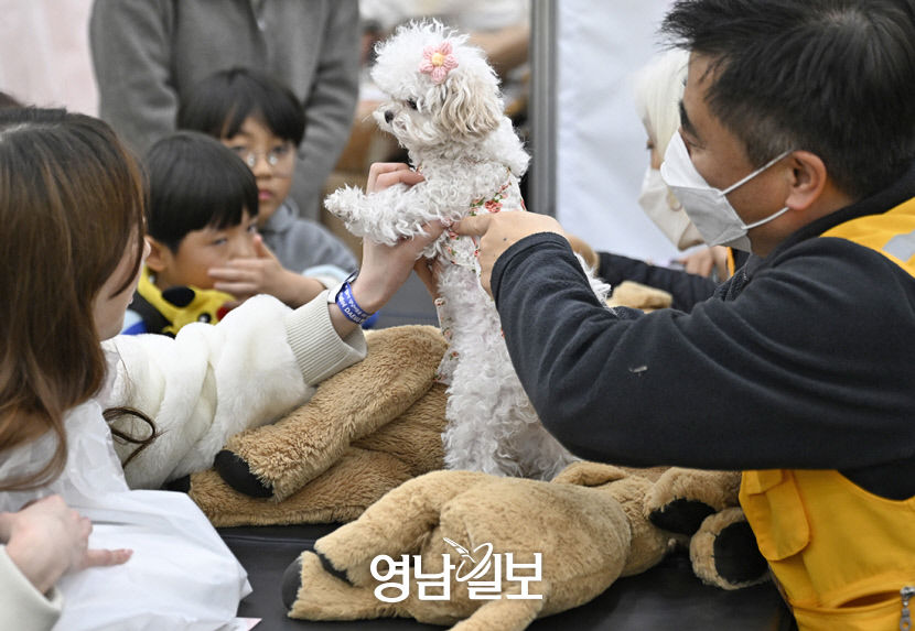 반려견 심폐소생술 배우는 시민들