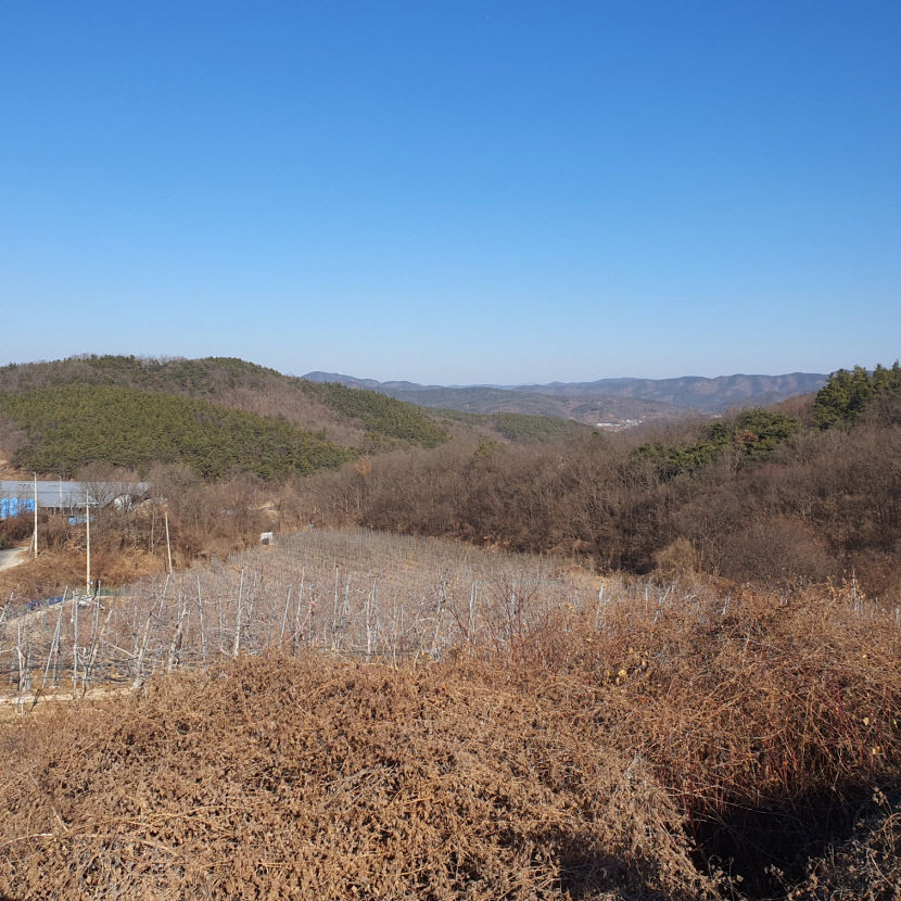 신공항 부지 찾은 홍준표 TK 신공항, 사통팔달 접근성 중요