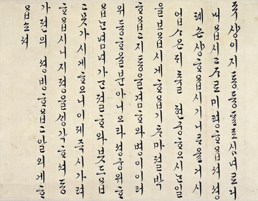 김홍도 백매, 신윤복 쌍검대무...대구간송미술관 첫 상설전 전시 작품은?
