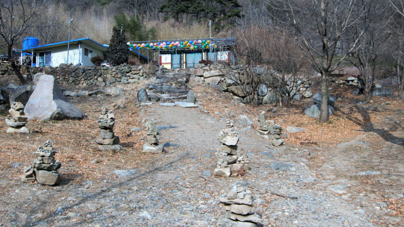 [주말&여행] 경북 칠곡 각산마을, 새해 소원 빌어볼까…수령 1천년 말하는 은행나무 신비