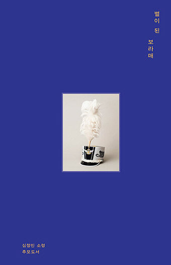 민가 피하려 비상탈출 대신 산화한 파일럿 이야기