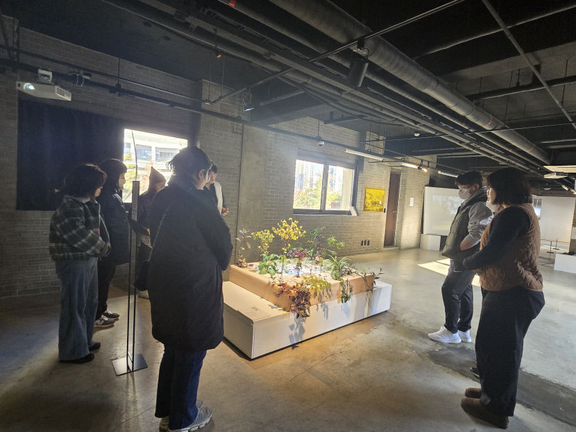 [2025 대구 전시&공연 라인업 .9] 대구예술발전소·수창청춘맨숀, 레지던시 연합교류전 확대…시민·예술가 소통 활성화