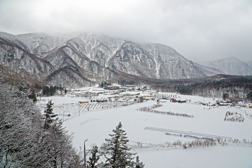 경북의 겨울, 청송 얼음골과 울릉 나리분지에서 만끽