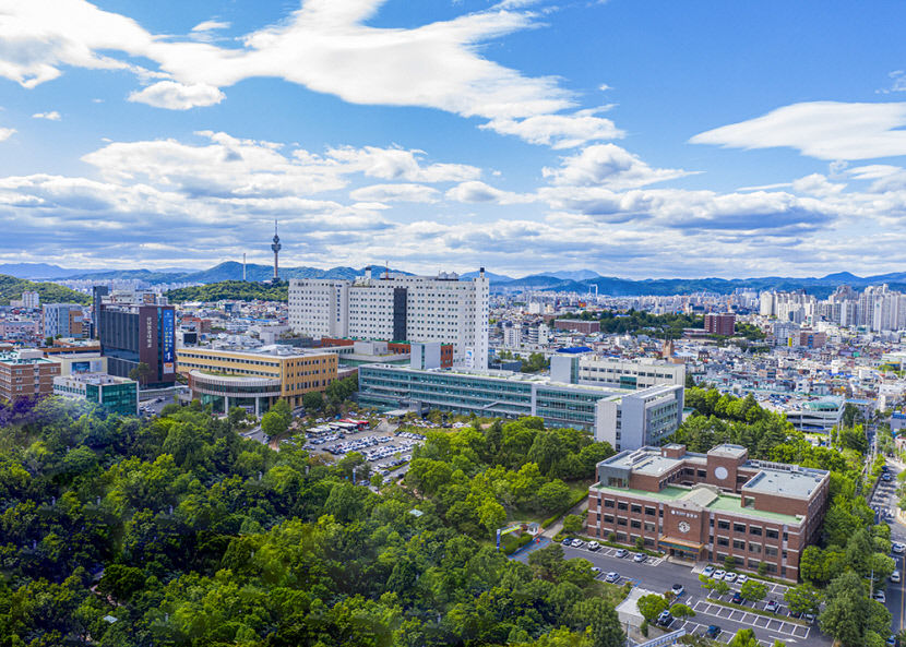 결핵 관리도 1등급…영남대병원, 의료 품질 선도