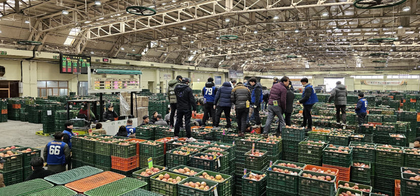 안동농협 농산물공판장, 연매출 3600억 달성 전국 최고