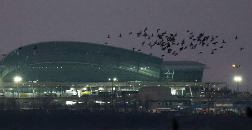 대구경북통합 신공항·울릉 공항에 조류탐지레이더 설치