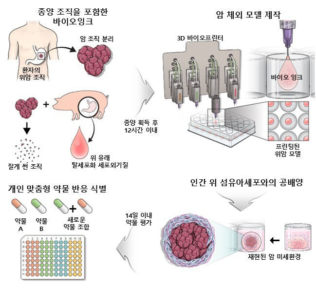 포스텍 연구진, 암 환자 상태 재현한 3D 위암 모델 개발