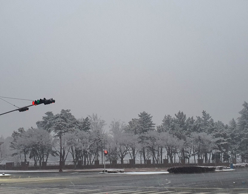 출근길 눈 펑펑 대구 오전 8시 기준 적설량 최대 3.2cm