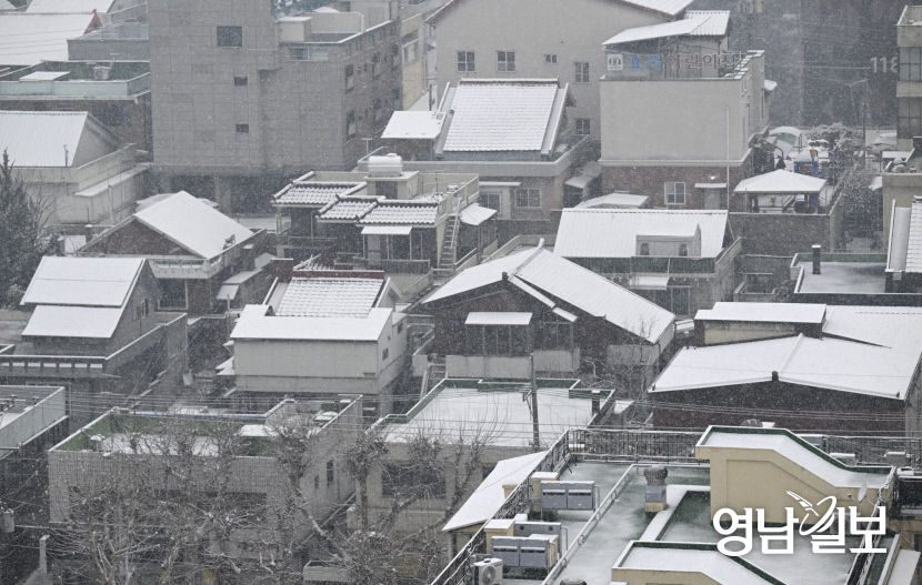 눈 쌓인 대구