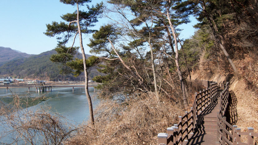 [주말&여행] 경북 고령 중화저수지, 고즈넉한 힐링 둘레길 봄이면 진달래 花르르