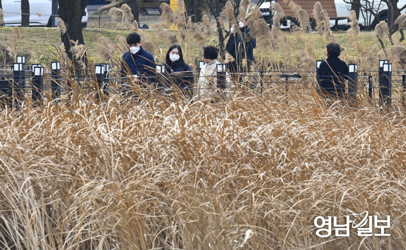 대구 수성못 산책 나온 시민들