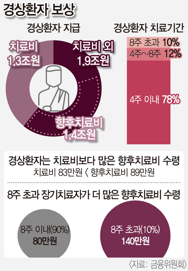 정부, 자동차 사고 나이롱 환자 막는다… 경상 환자 향후 치료비 배제