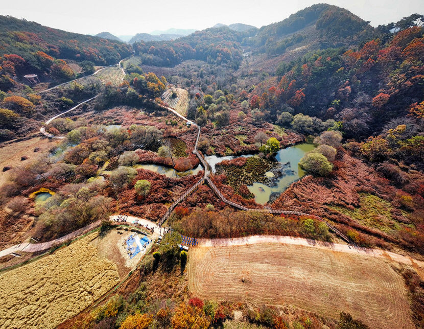 돌리네습지, 새재지구 연계해 세계적 체류형 생태관광지 육성