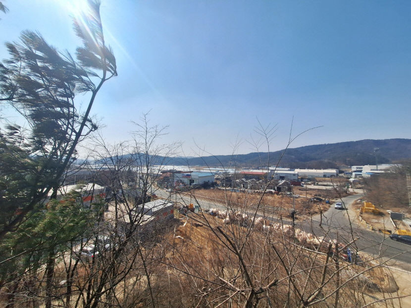 [Y르포] 그린벨트 풀리는  대구 달성군 하빈면 농수산물도매시장 이전지 가보니
