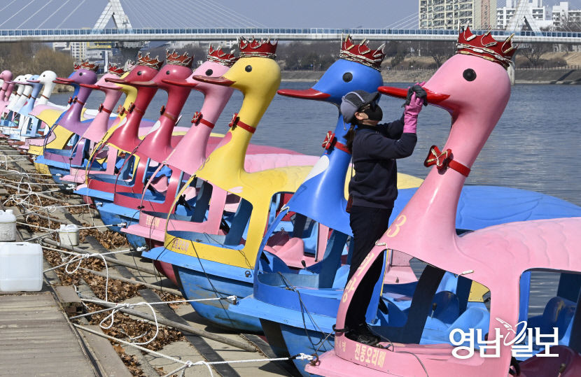 [포토뉴스] 봄맞이 손님 준비하는 대구 동촌유원지 오리배