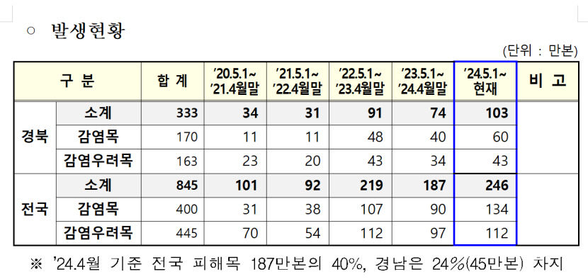 최근 3년간 경북에서만 재선충병으로 150만 그루 말라죽어