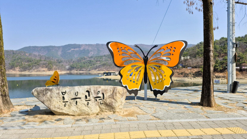 [Y르포] 나비 감상부터 케이블카까지…외국인들도 팔공산 매력에 흠뻑