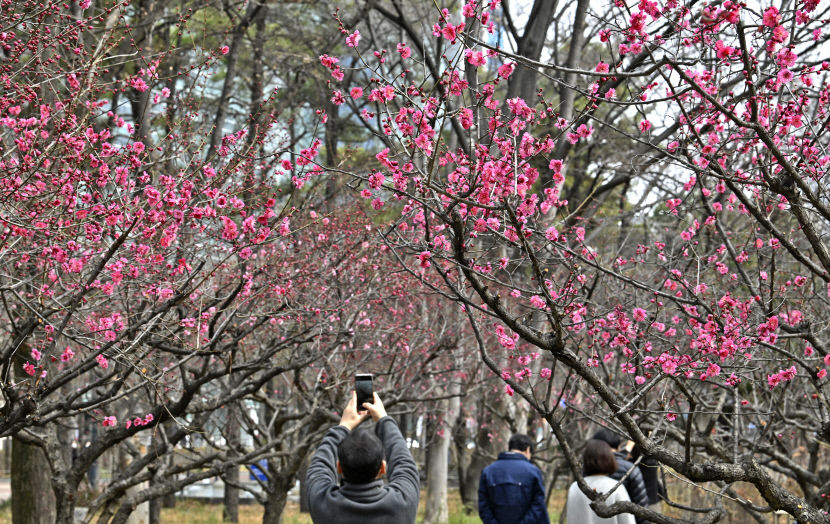 낮 최고기온 18℃ 대구경북 완연한 봄 날씨…일교차 조심
