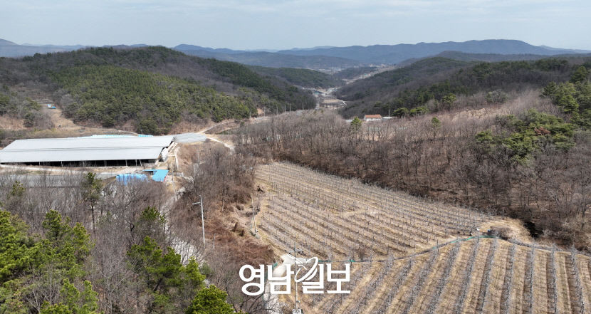 [Y르포] 허허벌판이 스카이시티·밀리터리타운으로 들뜬 군위 주민들