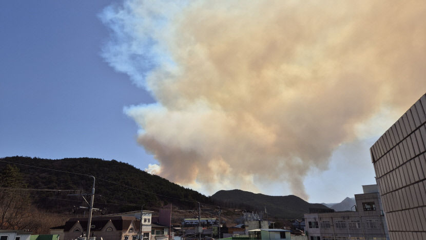 [1보] 청도 운문면 신원리 야산에 불…건조한 날씨에 확산 우려