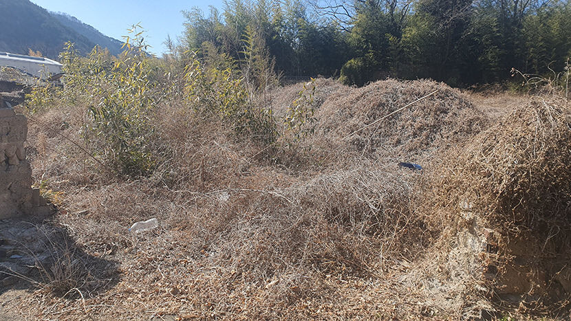 [동네뉴스] 두 황제의 묘우 팔공산 이제묘 사라지고 현판은 청주 농가창고에…