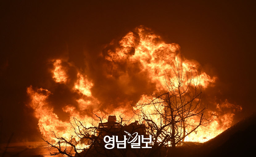 [포토뉴스] 산림 집어삼킨 검은 지옥도
