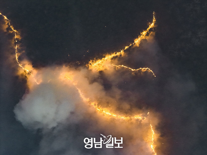산불 대부분 人災, 기후변화 탓 아냐…화재 유발행위 규제 강화해야