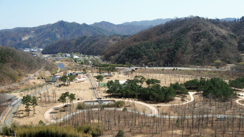 [주말&여행] 경북 김천 부항댐 부항호, 고요한 호수 벚꽃길…둘이 걸어요
