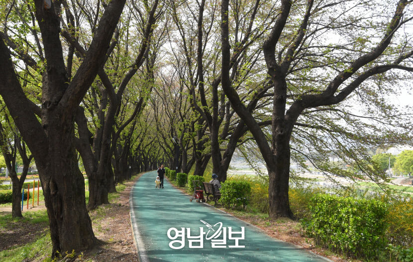 [상주, 시간을 품고 미래를 잇다 .6] 드라마 in 상주