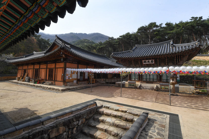 [상주, 시간을 품고 미래를 잇다 .6] 드라마 in 상주