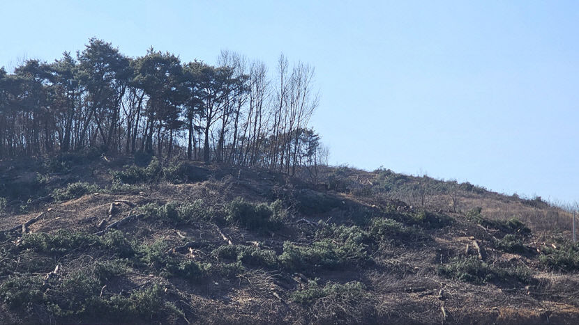 성주 관광농원, 산림자원 무분별한 훼손
