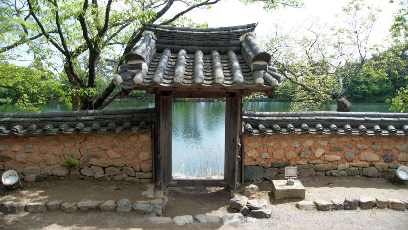 [주말&여행] 경남 밀양 부북면 위양지와 아리나…밀양 8경 이팝나무 5월이면 새하얀 눈꽃